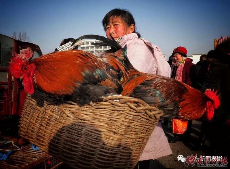 【主題月拍】：歡歡喜喜過大年