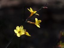 春暖花開正當(dāng)時(shí)【泉城公園】