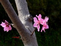 趙亭玉書(shū)坊 書(shū)法 初夏